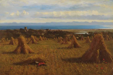 Cornstooks, Berwick Beyond, 1888